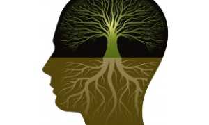 Методы укрепления слабых сосудов