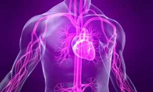 ВСД у призывника как повод для освобождения от воинской службы