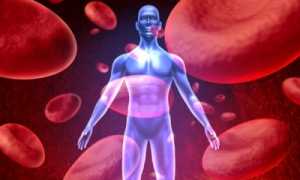 Лечение недугов кровеносного русла целебными растениями