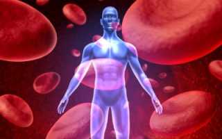 Лечение недугов кровеносного русла целебными растениями