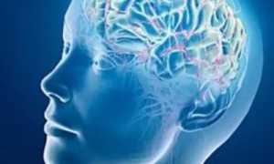 Лекарственные растения для очистки сосудов и активации кровотока в головном мозге