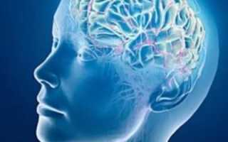 Лекарственные растения для очистки сосудов и активации кровотока в головном мозге