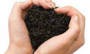 О пользе чая для сердца и сосудов