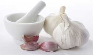 Метод очищения сосудов при помощи настоек из чеснока