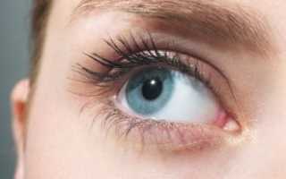 Анатомия сосудов глаза и распространенные заболевания