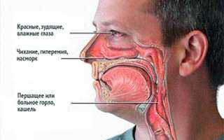 Головная боль лобной и глазной области