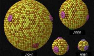 Все о статинах: стоит принимать или нет