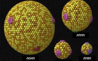 Все о статинах: стоит принимать или нет