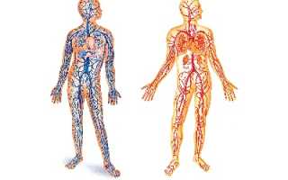 Когда и как нужно проверять сосуды?