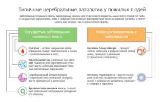 Чем грозен мозговой удар для пациентов пожилого возраста?
