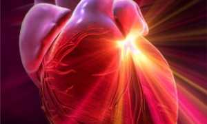 Особенности расположения и функционирования сосудов сердца