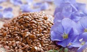 Особенности использования семени льна при повышенном холестерине