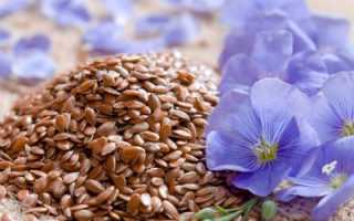 Особенности использования семени льна при повышенном холестерине