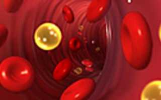 Выявление холестерина в крови: тонкости процедуры