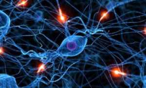 Можно ли избежать вегетососудистого криза?