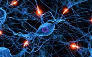 Чем грозит повышенное содержание липидов в организме?