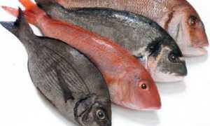 Содержание холестерина в рыбе