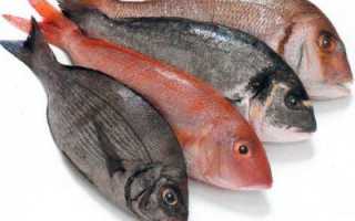 Содержание холестерина в рыбе