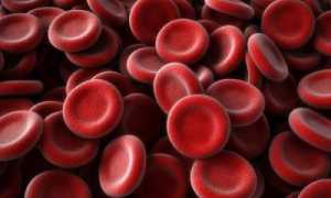 Основные аспекты терапии тромбоза