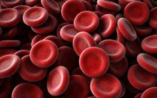 Основные аспекты терапии тромбоза