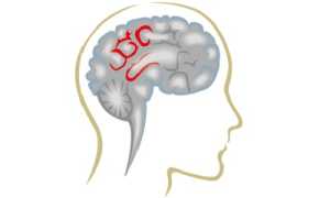 Дисциркуляторная энцефалопатия: причины и следствия патологии