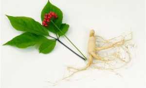 Нормализация уровня холестерина посредством лекарственных трав