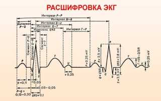 Как определить показания нормального сердцебиения?