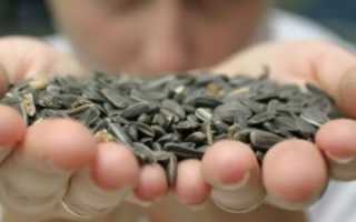 Вредны ли семечки при повышенном холестерине?