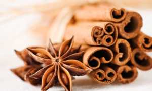 Использование меда и корицы в борьбе с повышенным холестерином