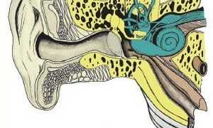 Какие упражнения спасают от головокружения?
