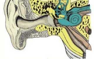 Какие упражнения спасают от головокружения?