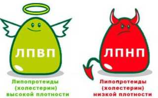 Нормы и причины отклонений показателей общего холестерина