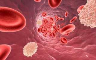 Анализ крови на холестерин: о чем говорят результаты?