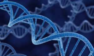 Как вывести холестерин из сосудов?