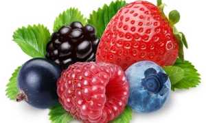 Лечение и оздоровление сосудов ног при помощи народных методов