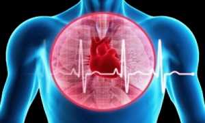 Причины, клиническая картина и методы терапии при сердчено-сосудистой недостаточности