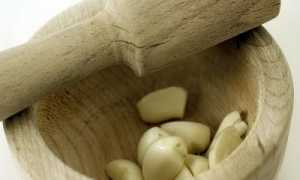 Чистка сосудов организма при помощи чесночно-лимонных смесей, а также других средств