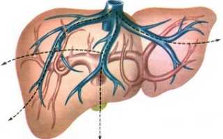 Портальная гипертензия: основные причины, симптомы, методы лечения и профилактики