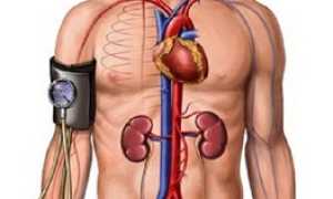 Показатели АД 140 на 100: симптомы, профилактика и лечение