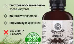 Использование сосновых шишек для лечения мозгового удара