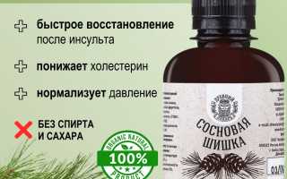 Использование сосновых шишек для лечения мозгового удара