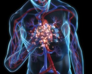 Респираторный хламидиоз