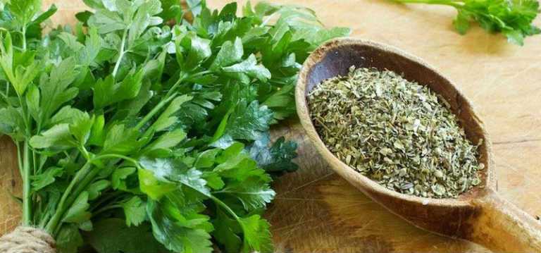 отвар петрушки при цистите