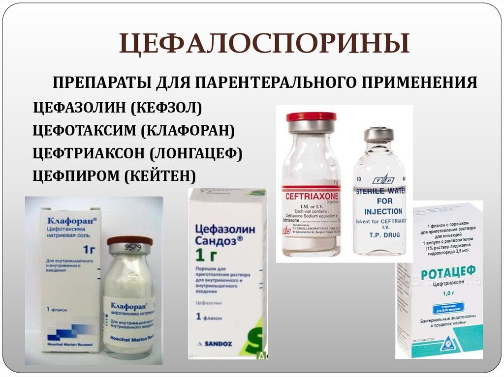 Цефалоспорин