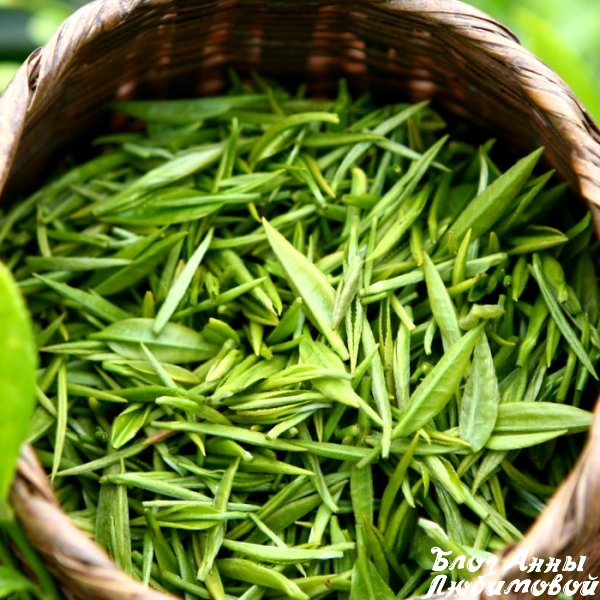 Зеленый чай