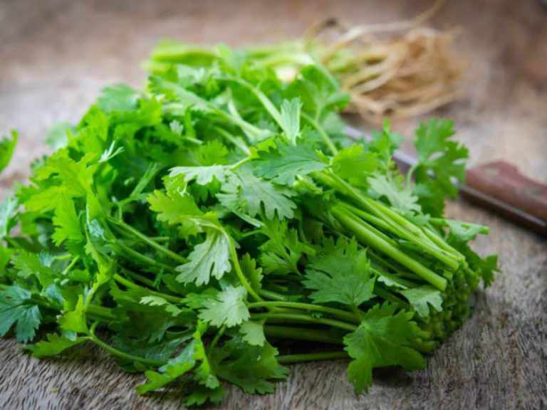 Петрушка при цистите у женщин