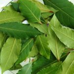 Лавровый лист