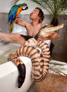 Владелец попугая