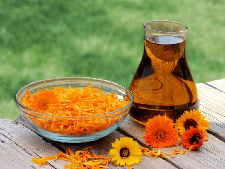 настойки при цистите