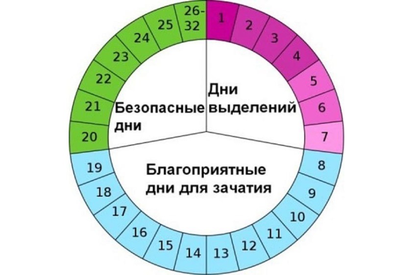 Когда у женщины наступает овуляция, и когда она детородна?